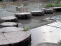 Stepping stones through the Lotus pond